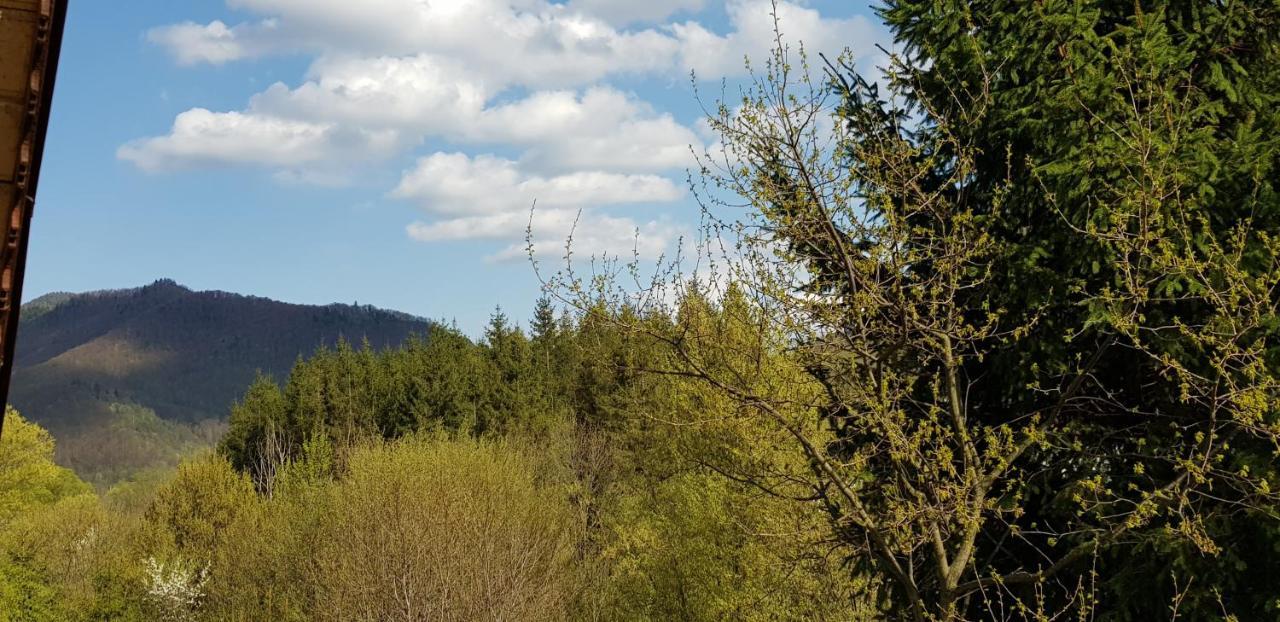 Sezatoarea Lupilor Villa Lepşa Dış mekan fotoğraf