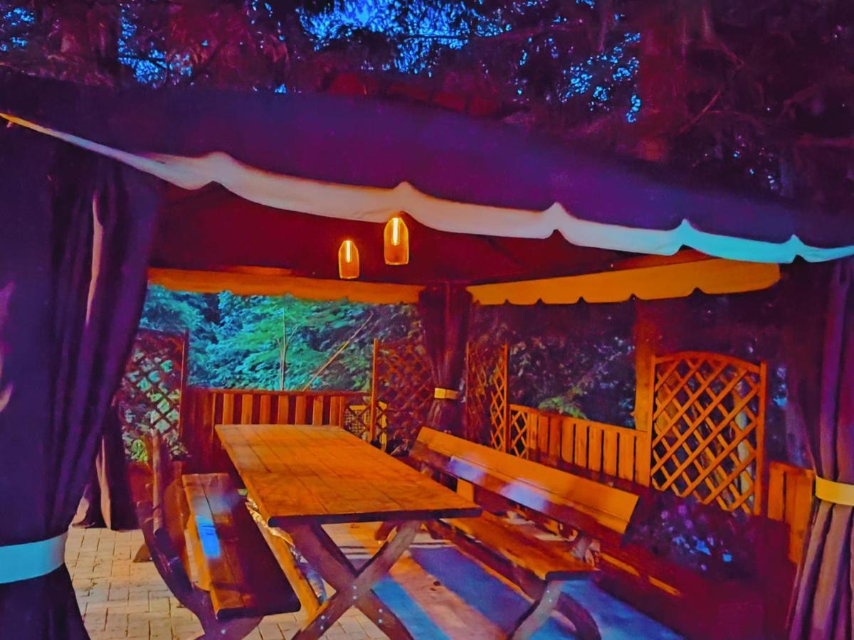 Sezatoarea Lupilor Villa Lepşa Dış mekan fotoğraf