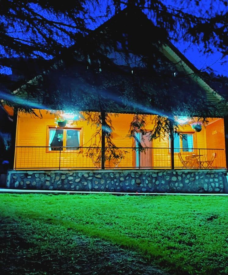 Sezatoarea Lupilor Villa Lepşa Dış mekan fotoğraf