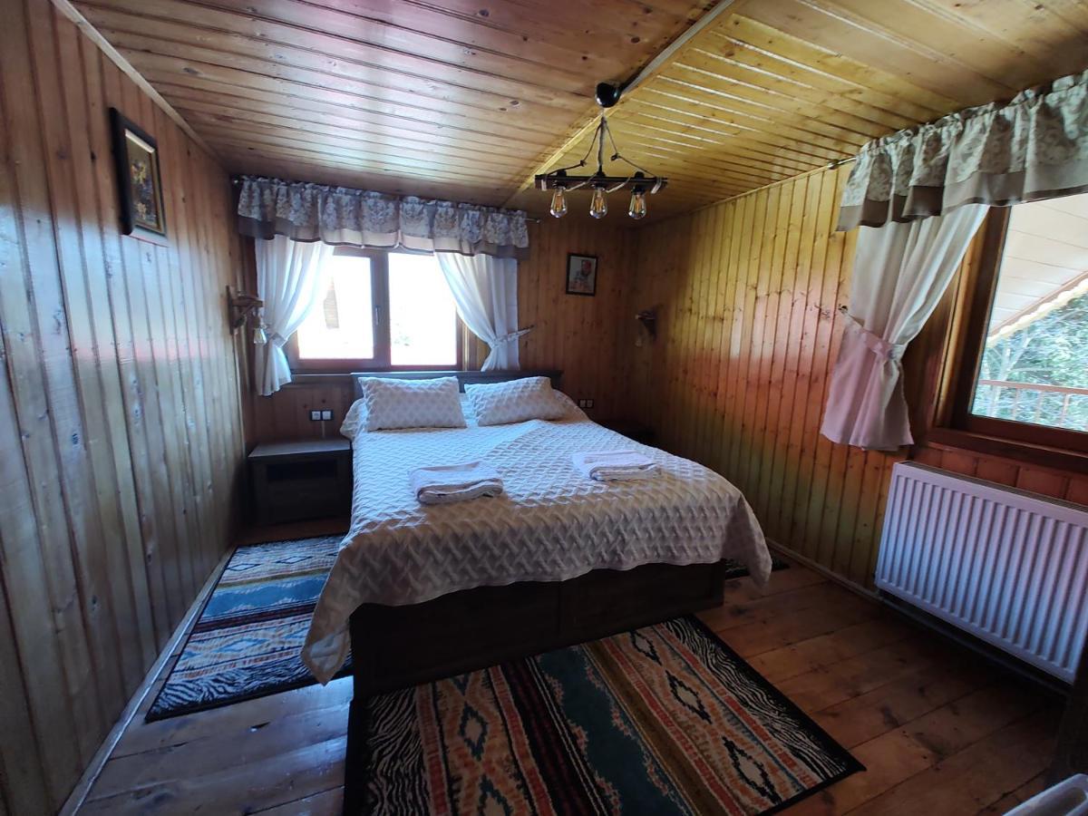 Sezatoarea Lupilor Villa Lepşa Dış mekan fotoğraf