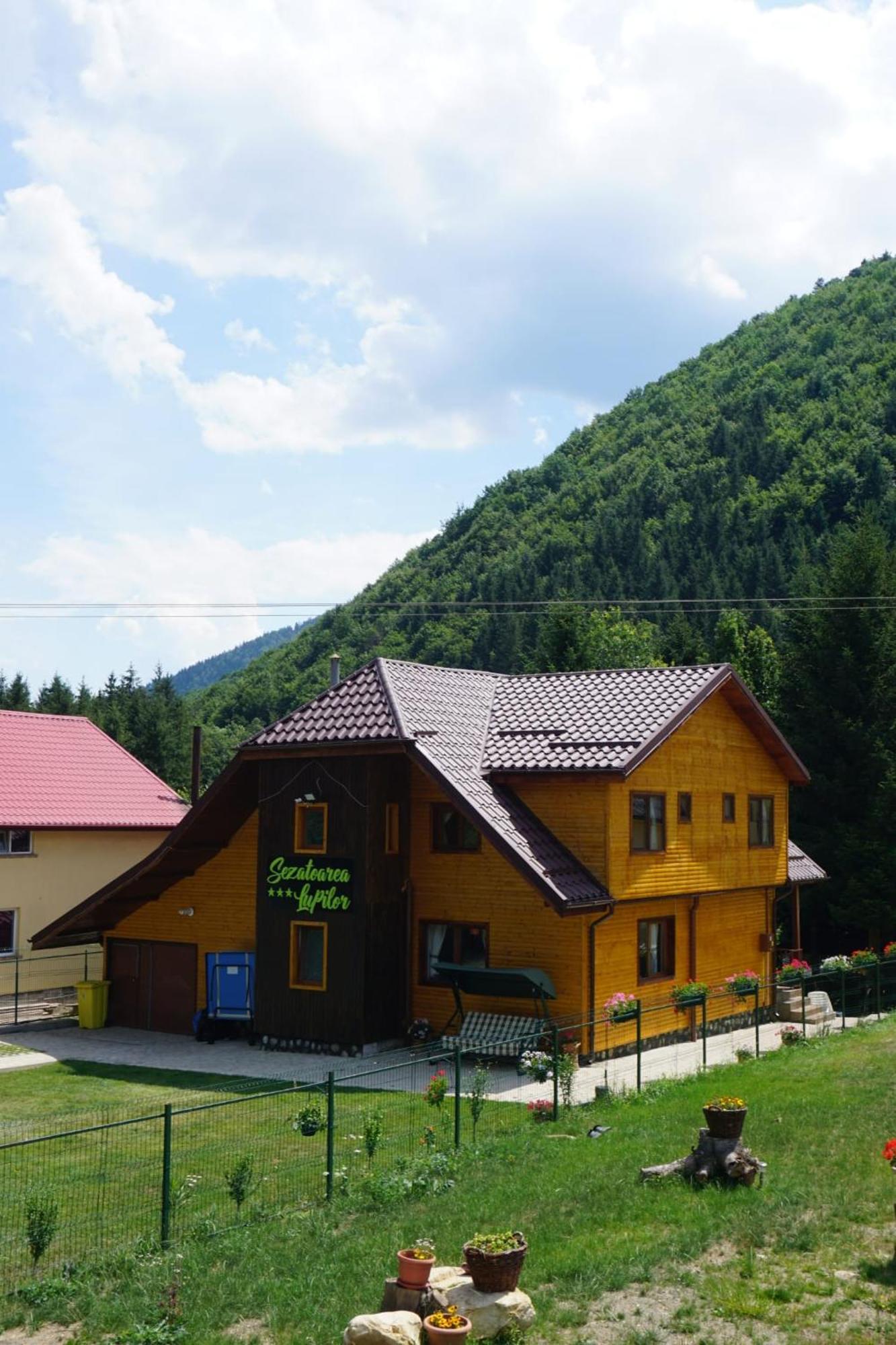 Sezatoarea Lupilor Villa Lepşa Dış mekan fotoğraf