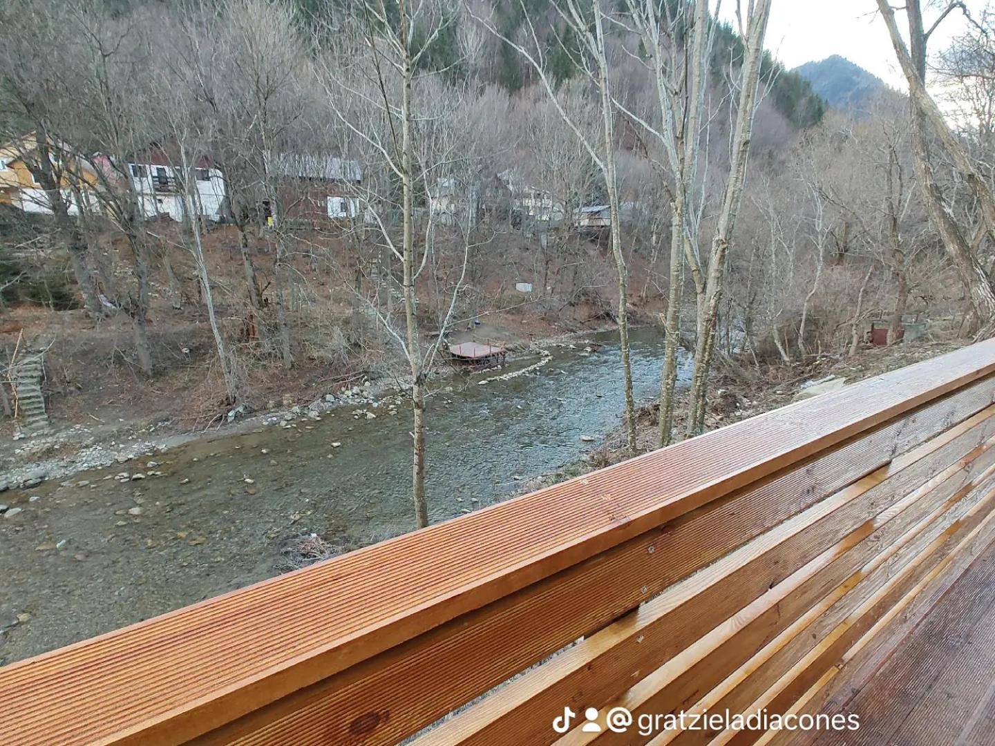 Sezatoarea Lupilor Villa Lepşa Dış mekan fotoğraf
